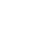 WunderGraph Team